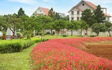 Xu hướng sống nghỉ dưỡng ở ngoại ô