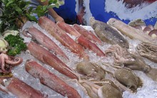 700.000 đồng/lần xác nhận nguồn gốc thủy sản là quá cao