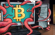 Sự tương đồng kỳ lạ giữa cơn sốt Bitcoin và dịch cúm