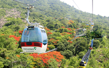 4 công ty mua gần 81% cổ phần công ty mẹ của Cáp treo Núi Bà Tây Ninh