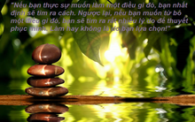 Cuộc điện thoại lúc 3h sáng làm chấn động Thủ đô Đan Mạch: Nếu bạn thực sự muốn làm một điều gì đó, bạn nhất định sẽ tìm ra cách