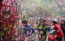 Tết Âm lịch 2019, người lao động có thể được nghỉ tới 9 ngày?