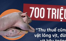 Thuế “vặt lông vịt”, lãng phí quyền lực và lãng phí chỗ ngồi