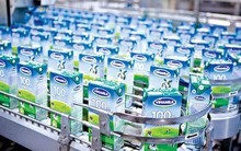 Làm sao để xuất khẩu mặt hàng sữa và các sản phẩm sữa sang Thái Lan?