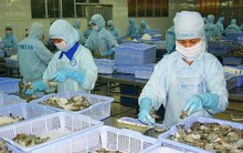 Vụ kiện tôm Việt Nam: Còn đối mặt thách thức