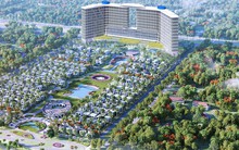 Nhờ công ty con Cam Lâm, KPF báo lãi 17 tỷ đồng quý 1