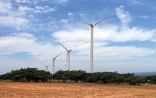 Dự án FDI đang ngày càng “còi cọc"?