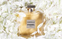 8 thương hiệu thời trang khiến "một nửa thế giới" mê mẩn: Ai trong phái đẹp cũng muốn được sở hữu