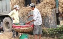 Xuất khẩu dưa hấu: Những thách thức phải vượt qua