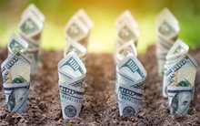 HNX điều chỉnh tỷ lệ cổ phiếu tự do chuyển nhượng rổ chỉ số HNX 30