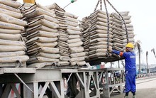 Tiêu thụ xi măng tại thị trường nội địa tăng trở lại