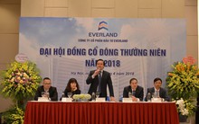 ĐHCĐ Everland (EVG): Đẩy mạnh đầu tư BĐS, đặt mục tiêu tăng trưởng doanh thu hợp nhất gần gấp đôi