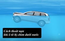 Bí quyết thoát thân khi ô tô gặp nạn dưới nước: Phản ứng càng nhanh bạn càng có cơ hội sống sót