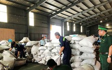 Gần 4 tấn vảy tê tê 'đột nhập' TPHCM qua container chở gỗ