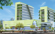 Sao Mai Group (ASM): Kỳ vọng lãi 890 tỷ đồng năm 2018, gấp 6 lần cùng kỳ