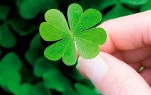 Tháng 4 của các cung Hoàng Đạo: Thiên Bình khởi sắc tài chính, Nhân Mã may mắn trong chuyện tình cảm