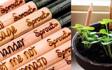 Ý tưởng kinh doanh xuất hiện từ bất kỳ đâu: mẩu bút chì ngắn tũn cũng ra tiền