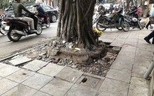 Sai phạm lát đá vỉa hè: Hàng loạt cán bộ bị xử lý