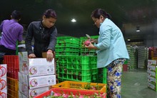 Thuế TNDN xuống 15%: Doanh nghiệp, Nhà nước đều lợi