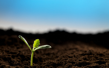 CTCK nhận định thị trường 09/04: Thời của cổ phiếu vốn hóa vừa và nhỏ?