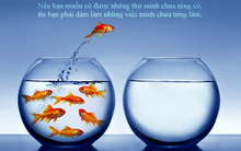 Chuyện cuối tuần: Tuyệt chiêu "Làm tốt lắm!"