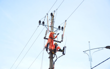 Một lãnh đạo Điện Miền Trung đăng ký mua số cổ phiếu SEB trị giá 230 tỷ đồng