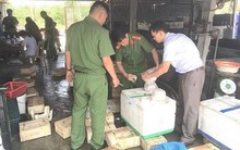 Hơn 3,6 tấn sứa bị tẩy trắng bằng hóa chất lạ