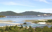 Chỉ đạo mới nhất của Thủ tướng về lập 3 đặc khu kinh tế