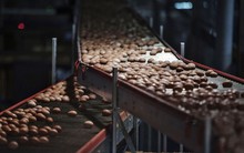 Cận cảnh trang trại gà 3 triệu con "đìu hiu bóng người" ở Trung Quốc