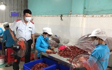 Phát hiện nhiều doanh nghiệp, cơ sở sản xuất ớt bột có chất gây ưng thư gan vượt quy định