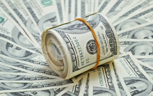 Vimeco (VMC) chốt danh sách cổ đông trả tiếp cổ tức năm 2017 bằng tiền tỷ lệ 100%