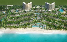 Hòa Bình trúng thêm nhiều gói thầu lớn, trị giá 3.000 tỷ đồng