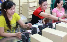 Cấp khống giấy tờ làm căn cứ hưởng chế độ ốm đau, thai sản