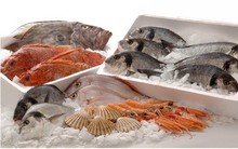 Kinh doanh tạm nhập, tái xuất hàng thực phẩm đông lạnh phải ký quỹ 10 tỷ đồng