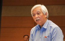 ĐBQH Dương Trung Quốc: Cho thuê đất 99 năm, không thận trọng sẽ thành nơi di dân