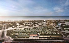 Biệt thự biển giá trị  thực tại Bãi Trường hấp dẫn nhà đầu tư