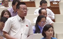 Chủ tịch Dabaco: Kinh tế tư nhân như đội quân thuyền thúng!