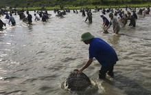 Cả trăm người hú vang rồi nhảy xuống vực đánh cá