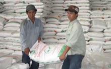 Ngành mía đường: Cần tái cơ cấu để đủ sức ‘chạy đường dài'