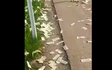 Mưa tiền trên xa lộ Mỹ, 600.000 USD tung bay trong gió