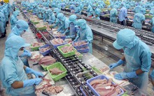 Sản lượng thủy sản nuôi trồng và khai thác đều tăng mạnh