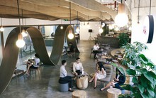 Thị trường co-working tăng trưởng bình quân 55%/năm trong suốt 5 năm qua
