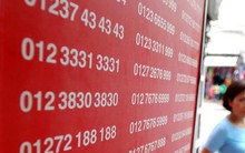 Hàng loạt đại lý ngừng bán sim 11 số vì lý do không ngờ