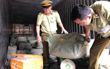 Phát hiện container chở gần 7 tần thịt động vật thối vào TP.HCM