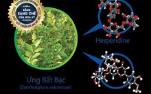 Dược liệu quý ngàn năm giúp bảo vệ tế bào gan