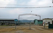 Những hệ lụy khi dự án nghìn tỷ nuôi bò “đột quỵ”