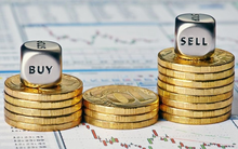 Tuấn Lộc đã bán bớt gần 6 triệu cổ phần VLXD Biên Hòa (VLB) sau 1 năm