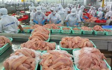 Thủy sản Việt Nam liên tục nằm trong nhóm 5 mặt hàng xuất khẩu lớn nhất tại Trung Đông