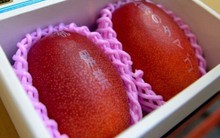 Xoài đỏ 1,7 triệu đồng/quả: Nhà giàu Việt mạnh tay chi tiền thưởng thức