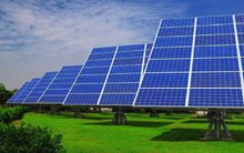 Tập đoàn Cá Tầm Việt Nam đầu tư dự án điện mặt trời 1.200 tỷ đồng tại Ninh Thuận